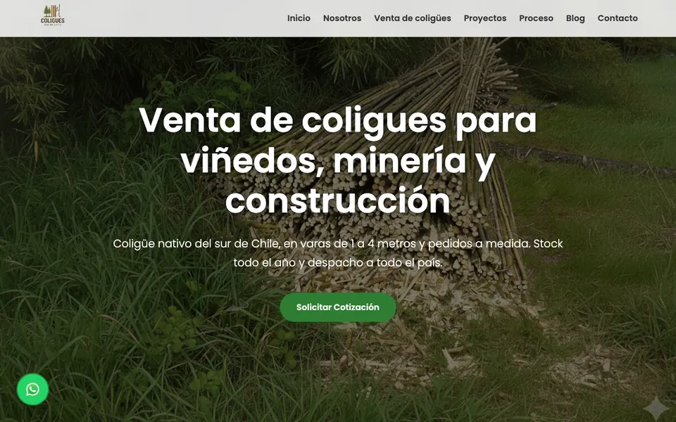 Portada de aguswer.cl