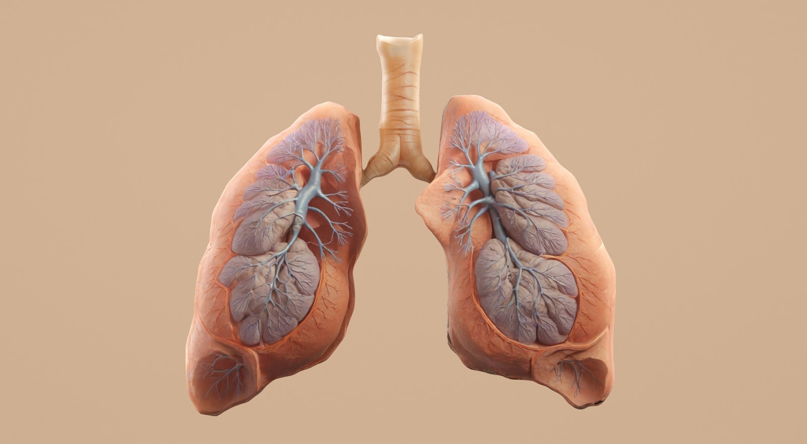 Kinesiología respiratoria